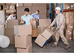 四、 清关服务与物流风险