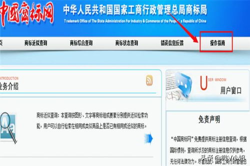 查询过程中的注意事项