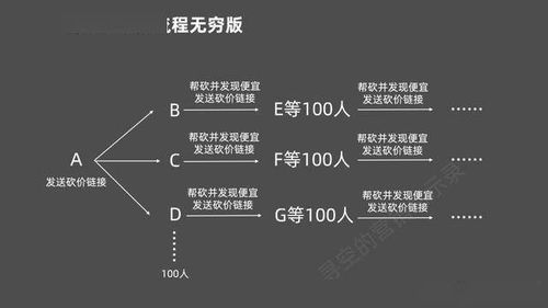 一、 运营团队配置
