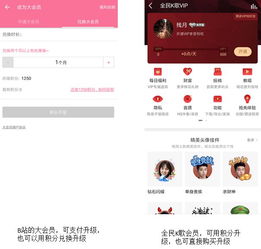 4. 设置会员权益