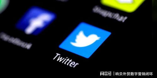 访问Twitter Ads官网并创建账户