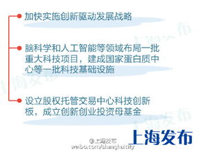 技术创新与本地化运营， 占据知名地位