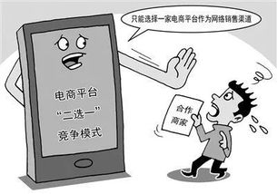 二、 Cdiscount平台对恶意跟卖的处理措施