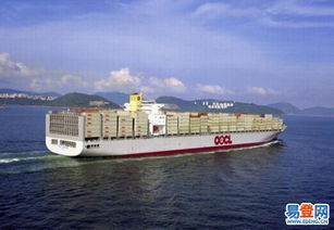 2. 委托代理公司