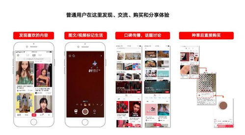 二、 利用标签和关键词