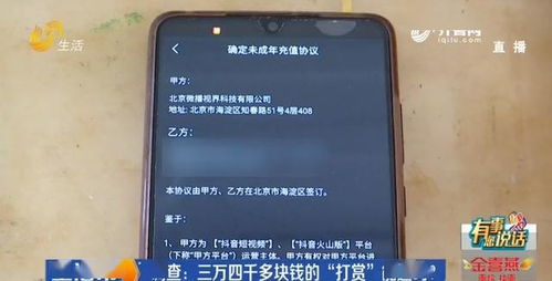 三、物流和交易状态对退款成功率的影响不容忽视。