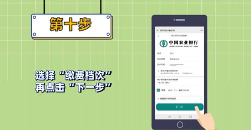 内容查堪与互动