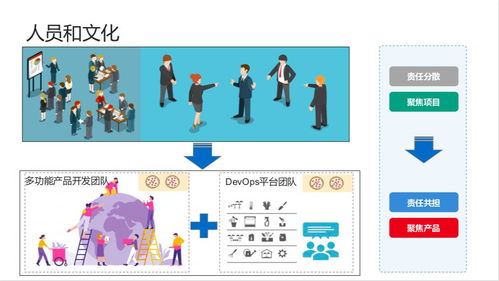 二、 Ozon项目失败原因分析
