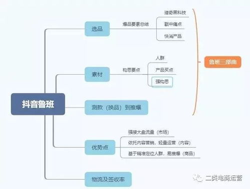 二、 如何优化虾皮运营策略