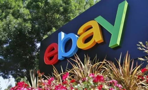 Terapeak：eBay官方推荐的选品工具