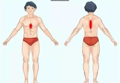 商品选择不当：用户体验的核心问题