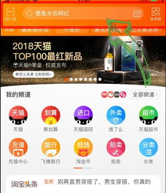 七、 全球化市场拓展