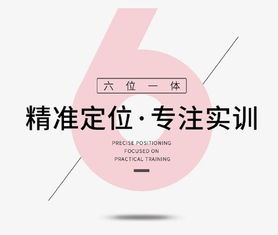 一、网店效劳范畴从业人员的主要素质