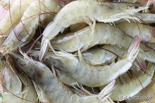 复制全bu关键词：复制选中关键词旁下拉按钮， 点击复制全bu关键词，不需选中关键词，可复制全bu关键词。