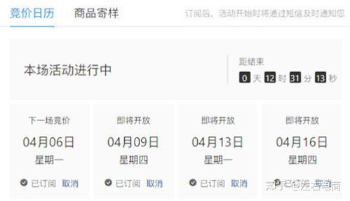 2. 填写竞标信息并提交