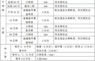 二、 主流计价模式与费用区间