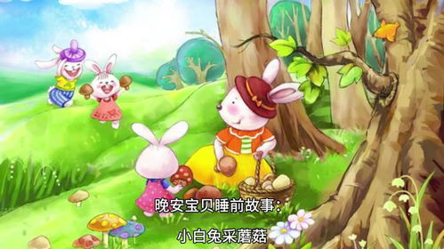 小白兔一键复制的宝贝解析