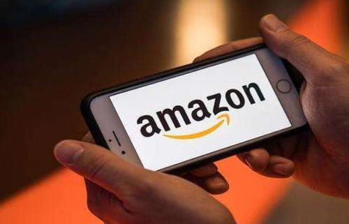 九、 使用亚马逊物流(FBA)