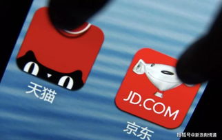 电商平台的选择与考量