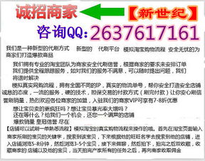 三、 开网店策略