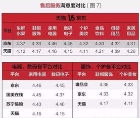 提升京东店铺综合评分的策略