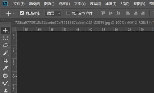 背景纯白色（RGB 255,255,255）