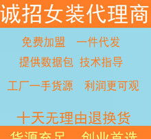 六、 价格策略与促销活动