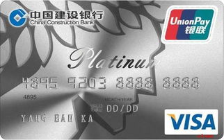 一、 国际信用卡支付的风险及防范措施