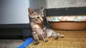 泰国3D国家馆：穿越异域风情