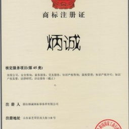 后续管理与保护