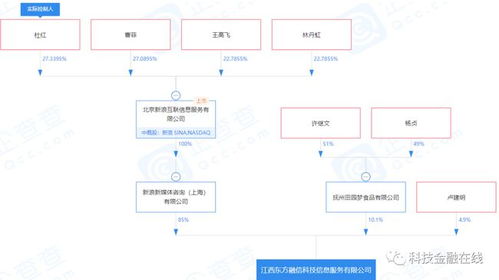1. 确定公司名称