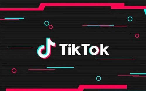 二、 TikTok店铺高效运营策略