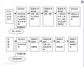 填写退税单：准确录入信息， 确保退税流程顺利进行