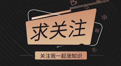 2. 申诉内容不真诚