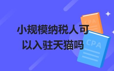 一、 天猫交税的基本前提与流程