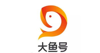 一、 大鱼号：内容创作的新天地