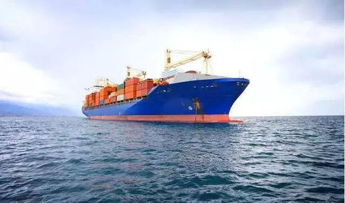 三、 IATA标准在海运场景下的适应性调整