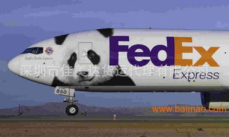 FedEx：高效可靠的快递服务
