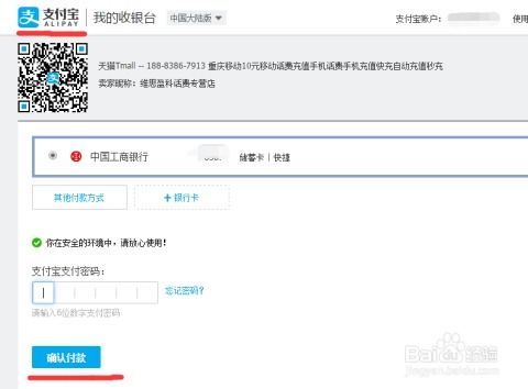 第四步：确认订单并支付