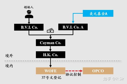 六、 VIE架构的国际资本市场机遇
