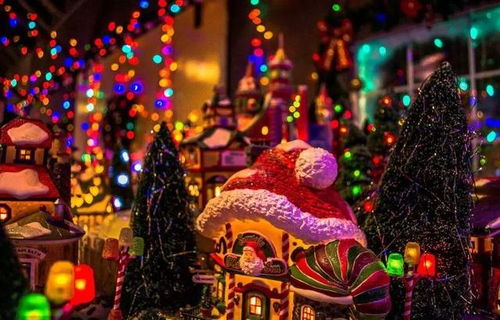 各国圣诞节习俗