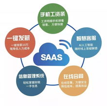 实操经验丰富的跨境专家分享见解