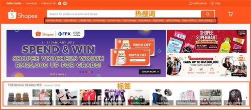 图片上传与优化技巧