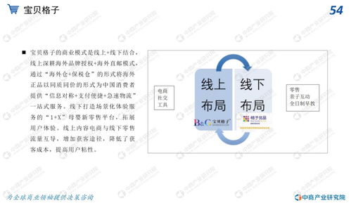 全球化浪潮中的新途径：在家开启跨境电商之旅