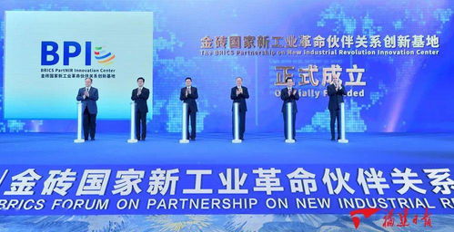 企业概况：新力军初露锋芒