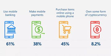 网银支付（iBanking）