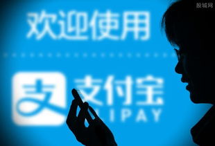 三、基础服务费及技术服务费用