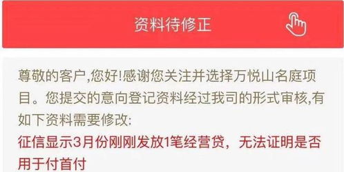 5. 电话审核未同过