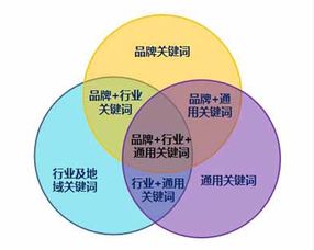 2. 站外流量优化