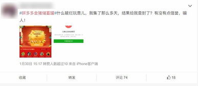 一、 金猪级别概述